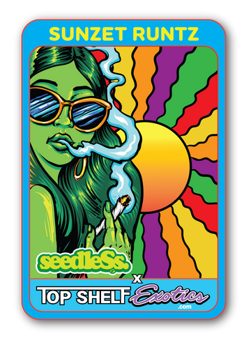 Sunset Runtz Strain