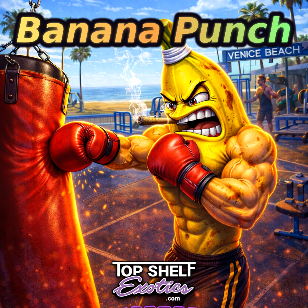 Banana Punch - 32.5% THC