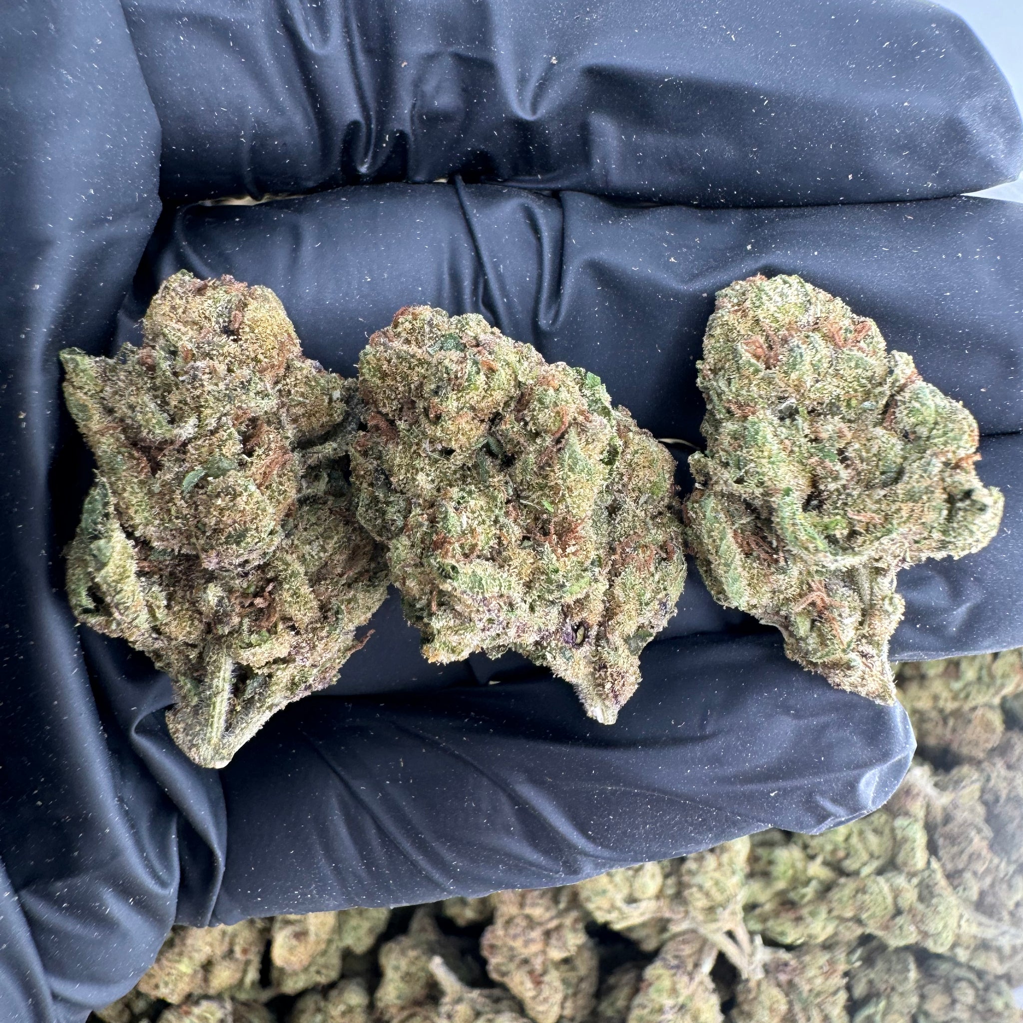 Blue Runtz - 29.3% THC