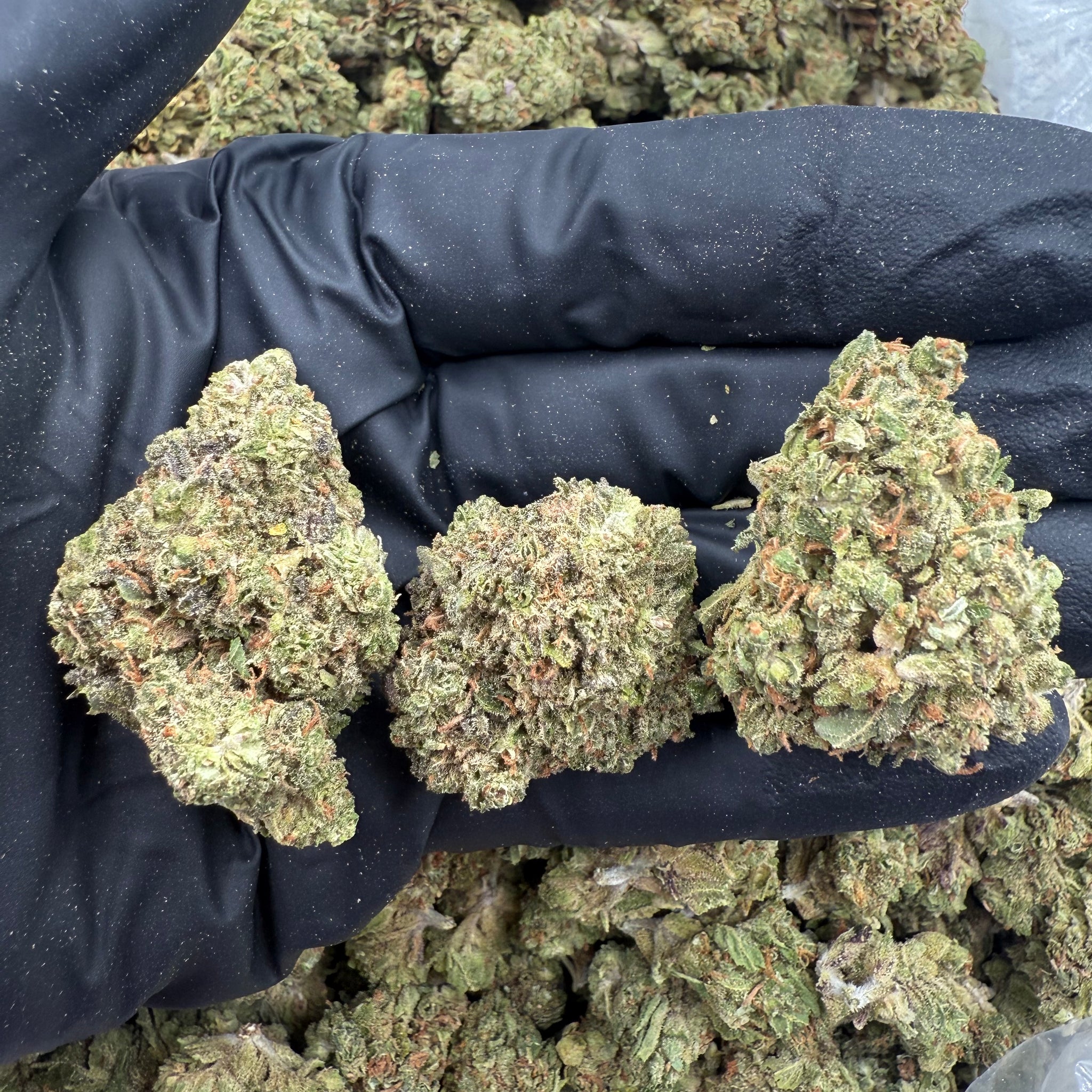 Burger Breath- 27% THC