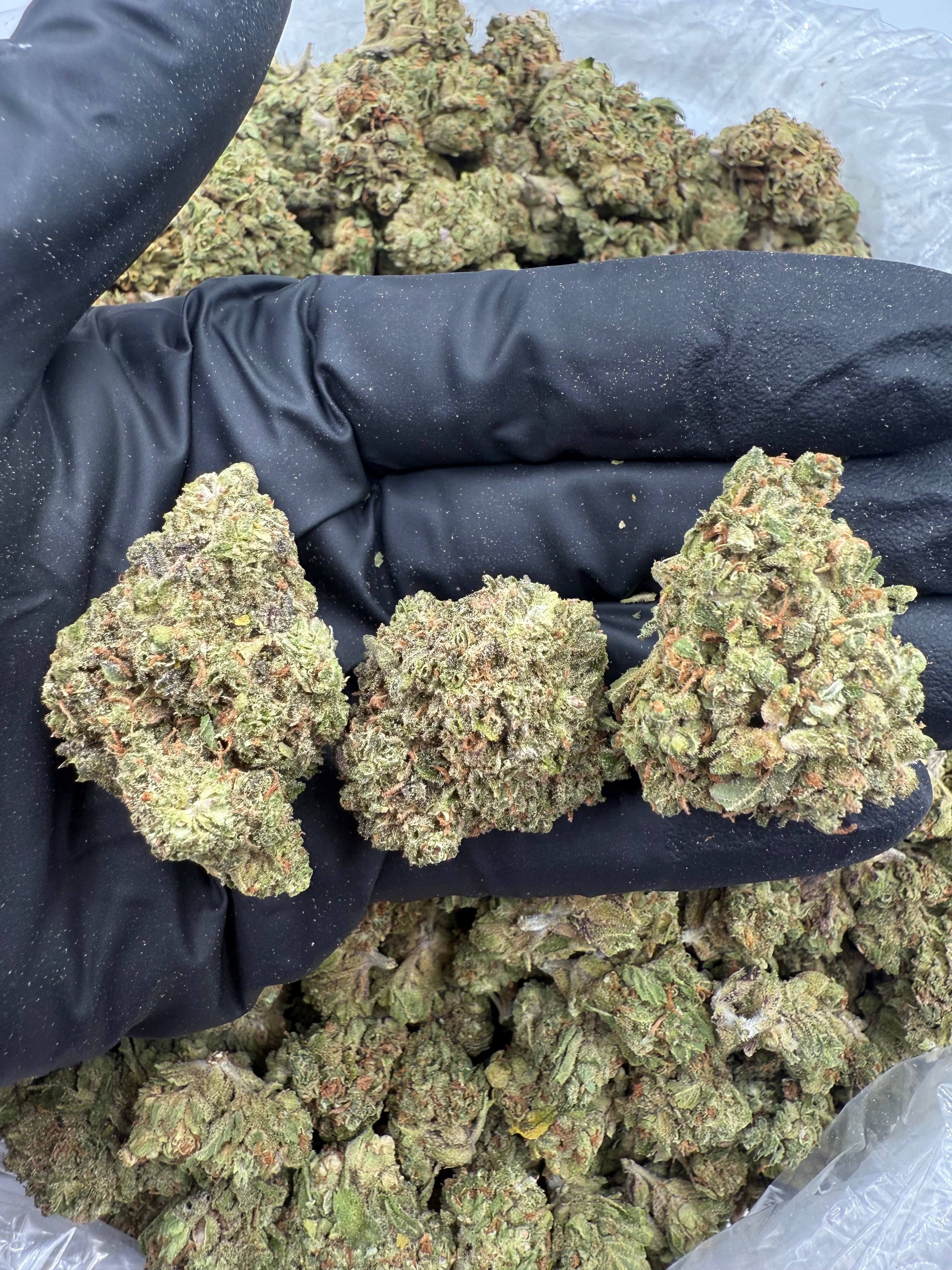 Burger Breath- 27% THC