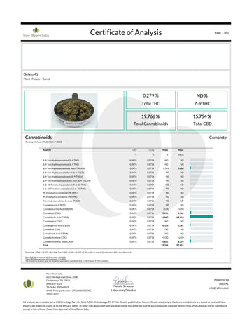 Frosted Gelato 41 - 19.7% THC