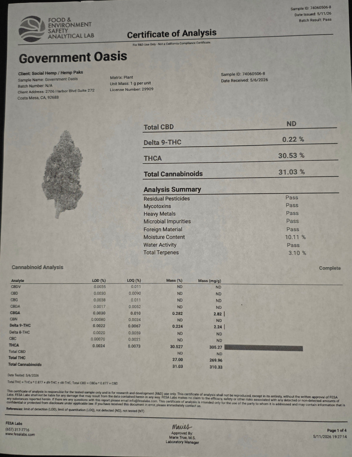 Gov't Oasis 31% THC
