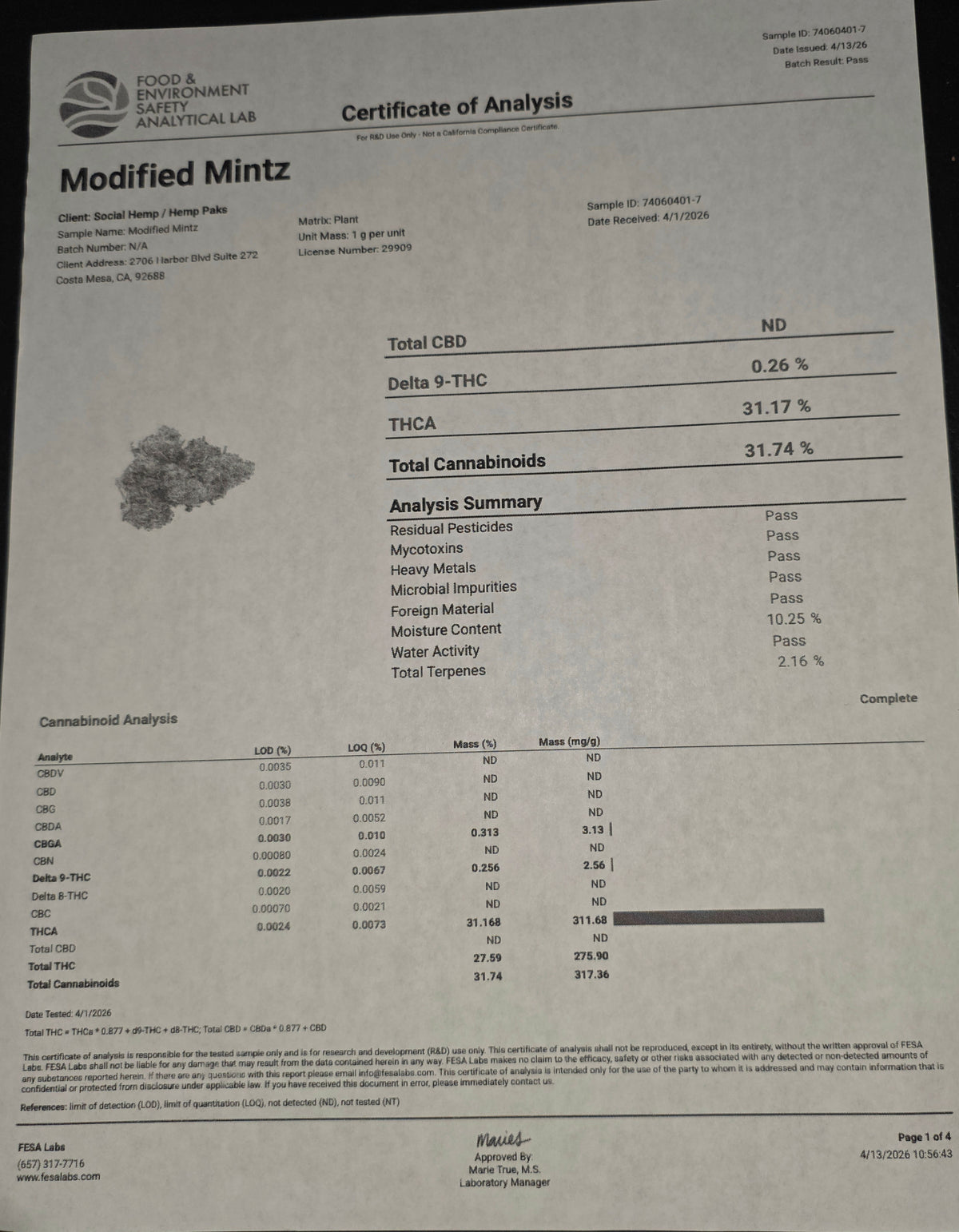 Modified Mints 31.7% THC
