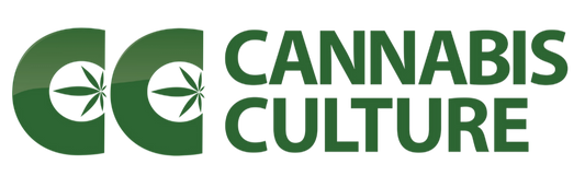 Cannabis Culture