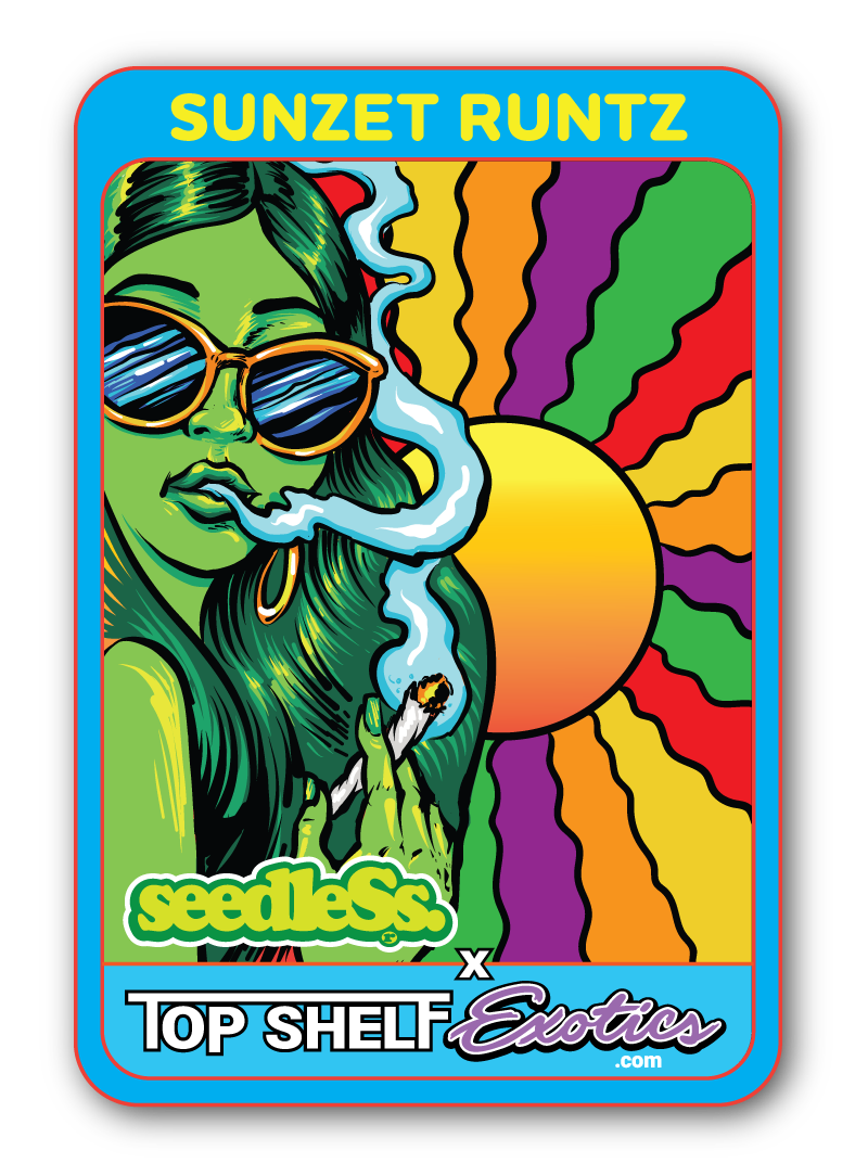 Sunset Runtz Strain