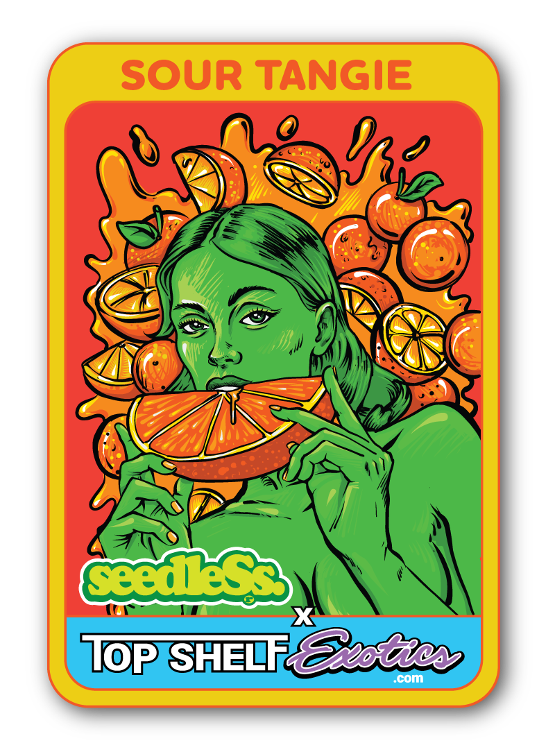 Sour Tangie Strain