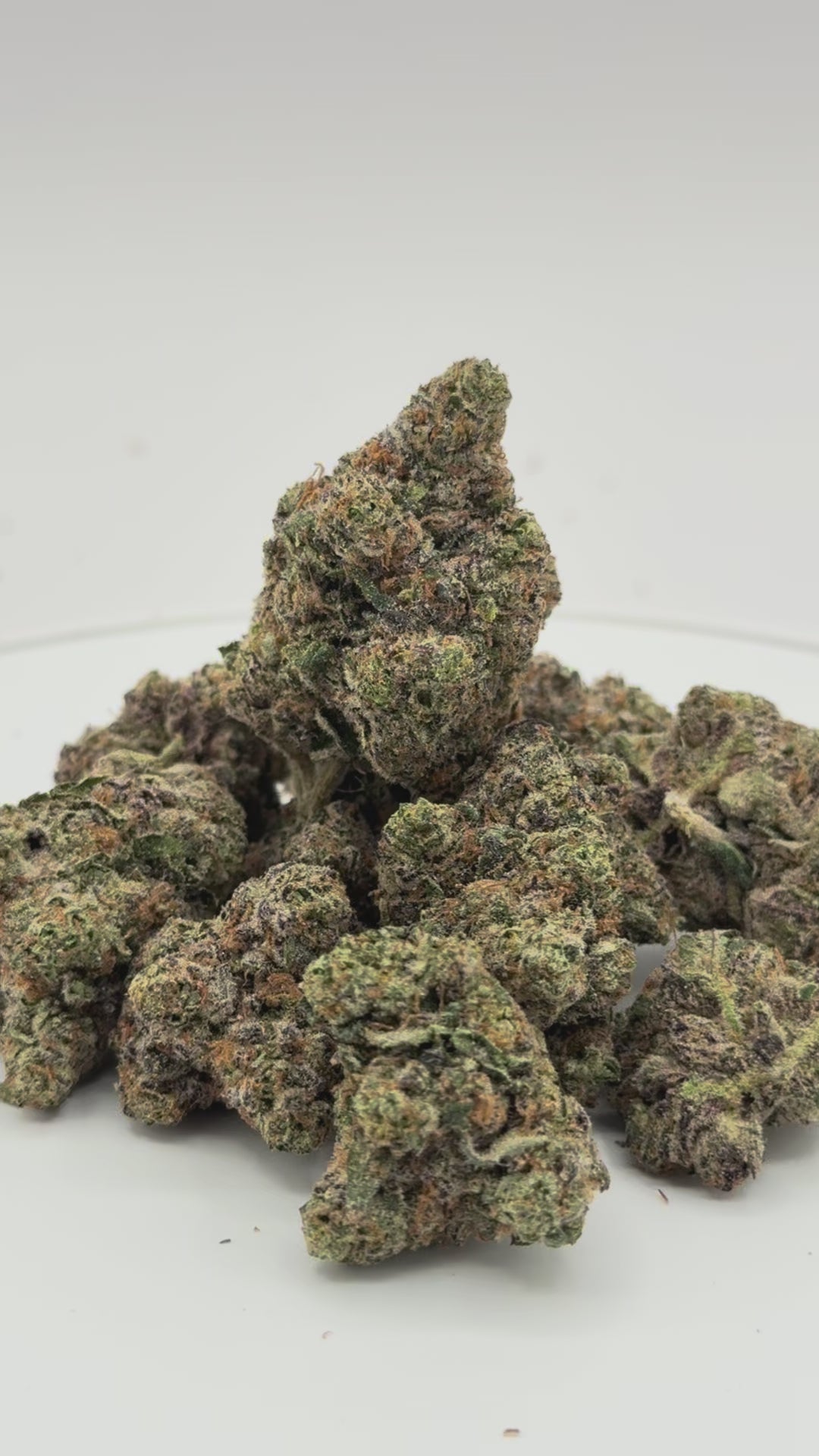 Blue Runtz Pack 24% THC - Available Now!