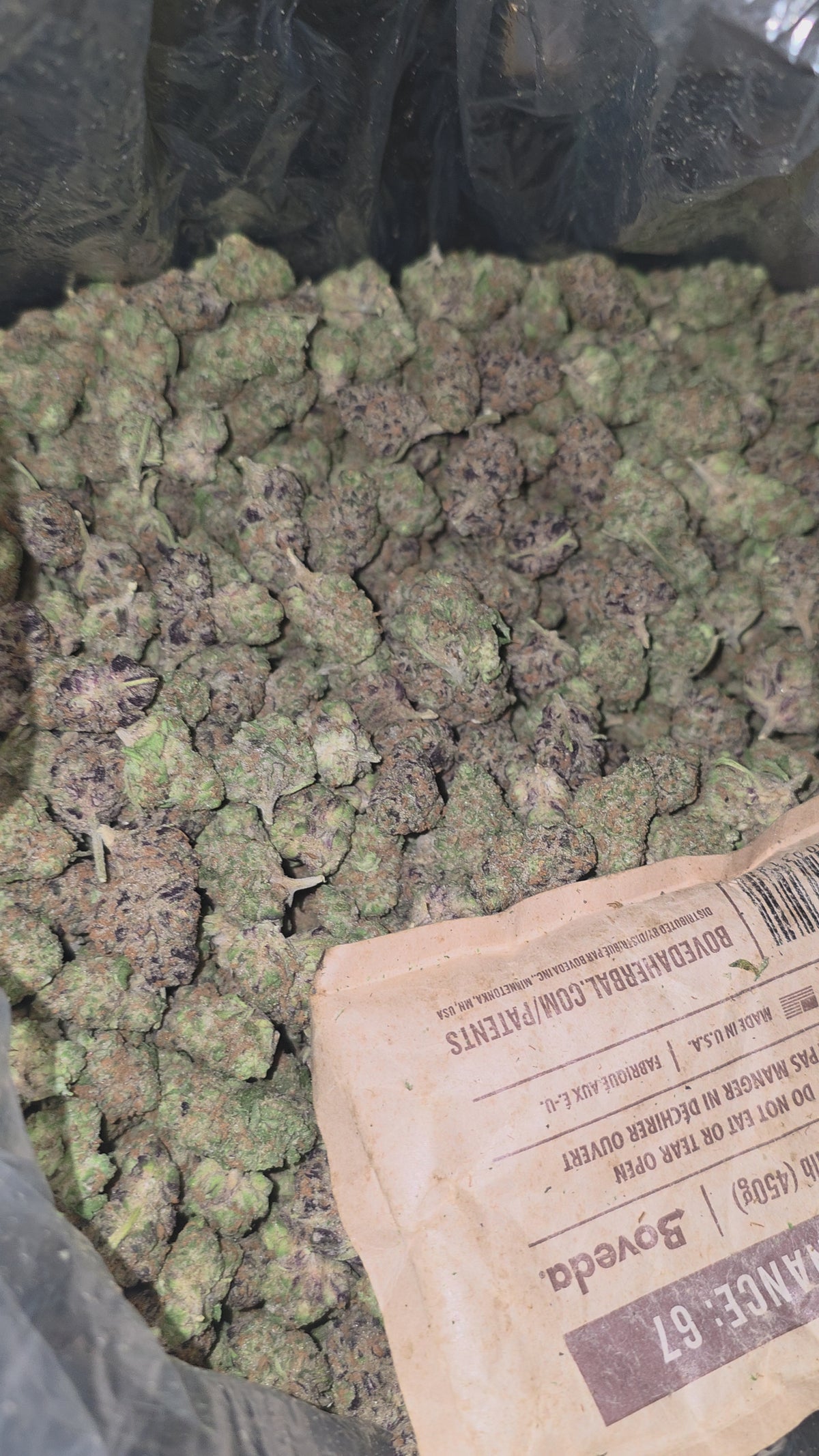Reeses Pieces 32.3% THC
