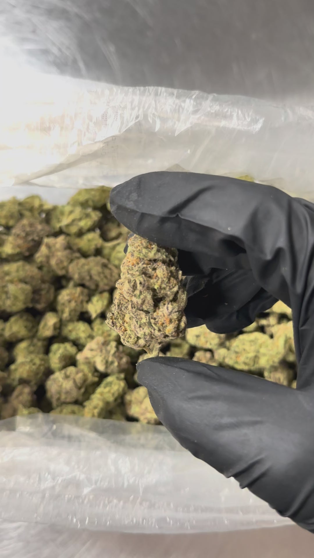 Mai Thai - 21.4% THC