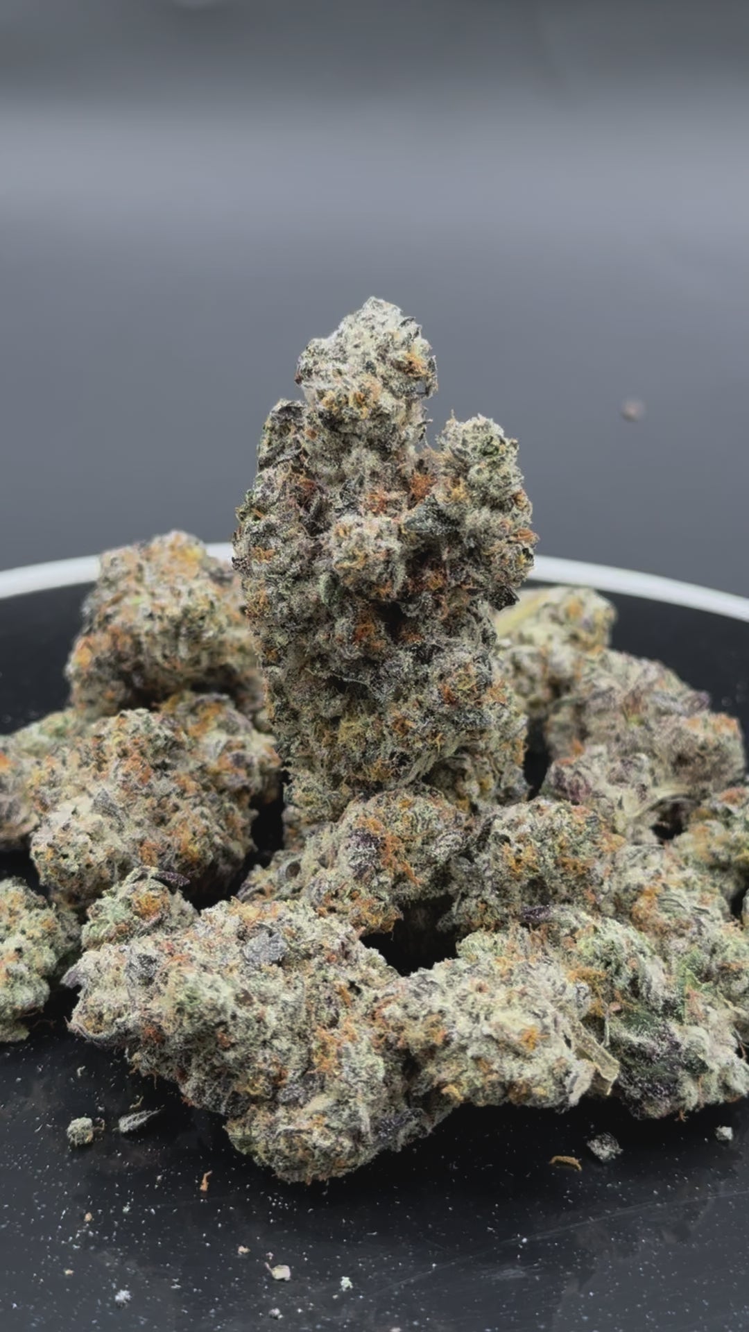 Perm Chimera - 31.4% THC