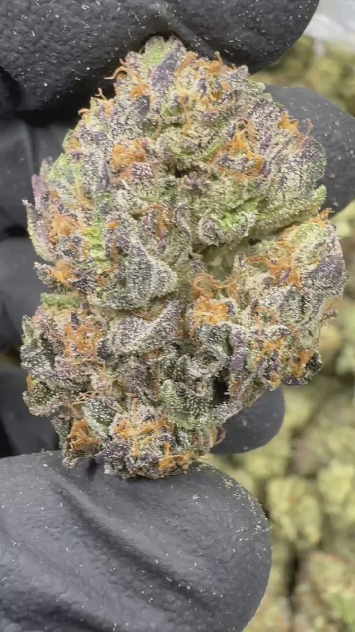 Ice Cream Cake Cannabis