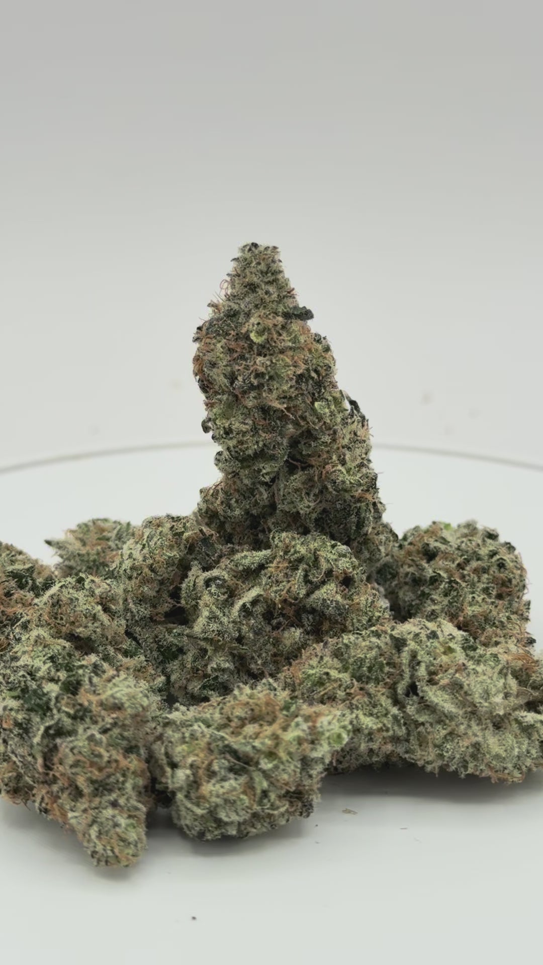 Strawberry Bon Bon Pack 26.3% THC - Available Now!