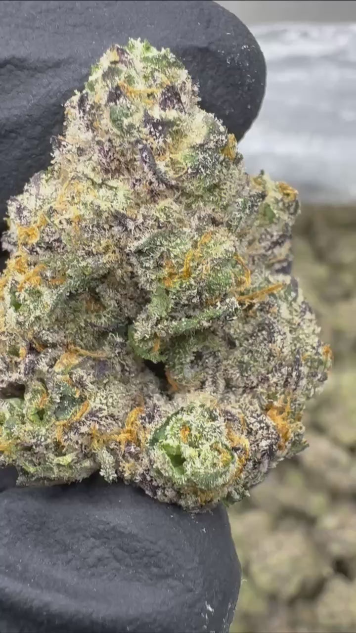 Lemon Cherry Runtz