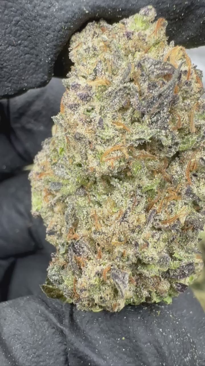 Kush Mints Strain