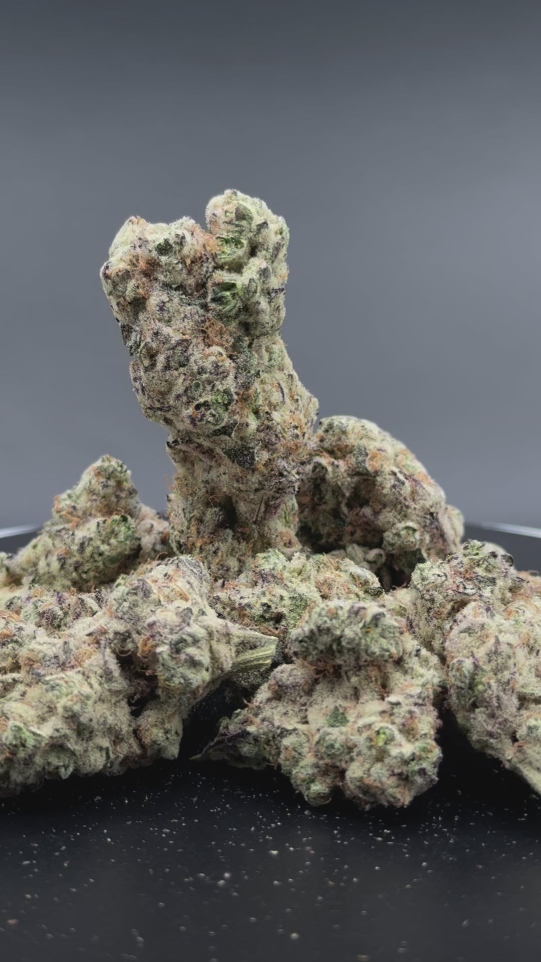 Sour Tangie Pack 29% THC - Available Now!