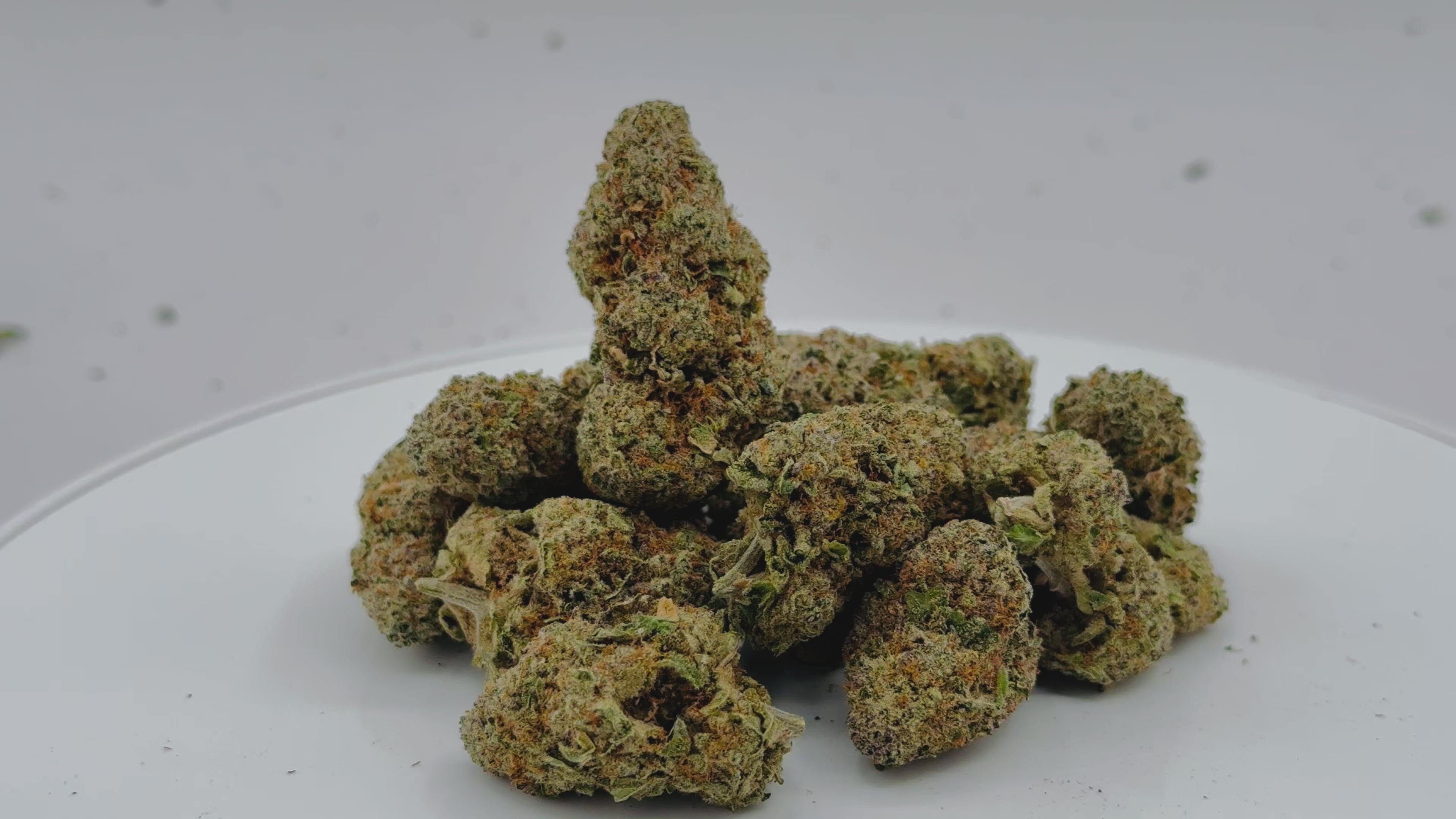 E85 Kush - 26.3% THC
