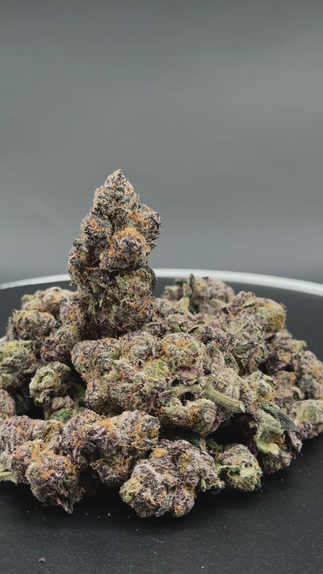 Exotic Cannabis Strain - Limited Drop | Top Shelf Exotics