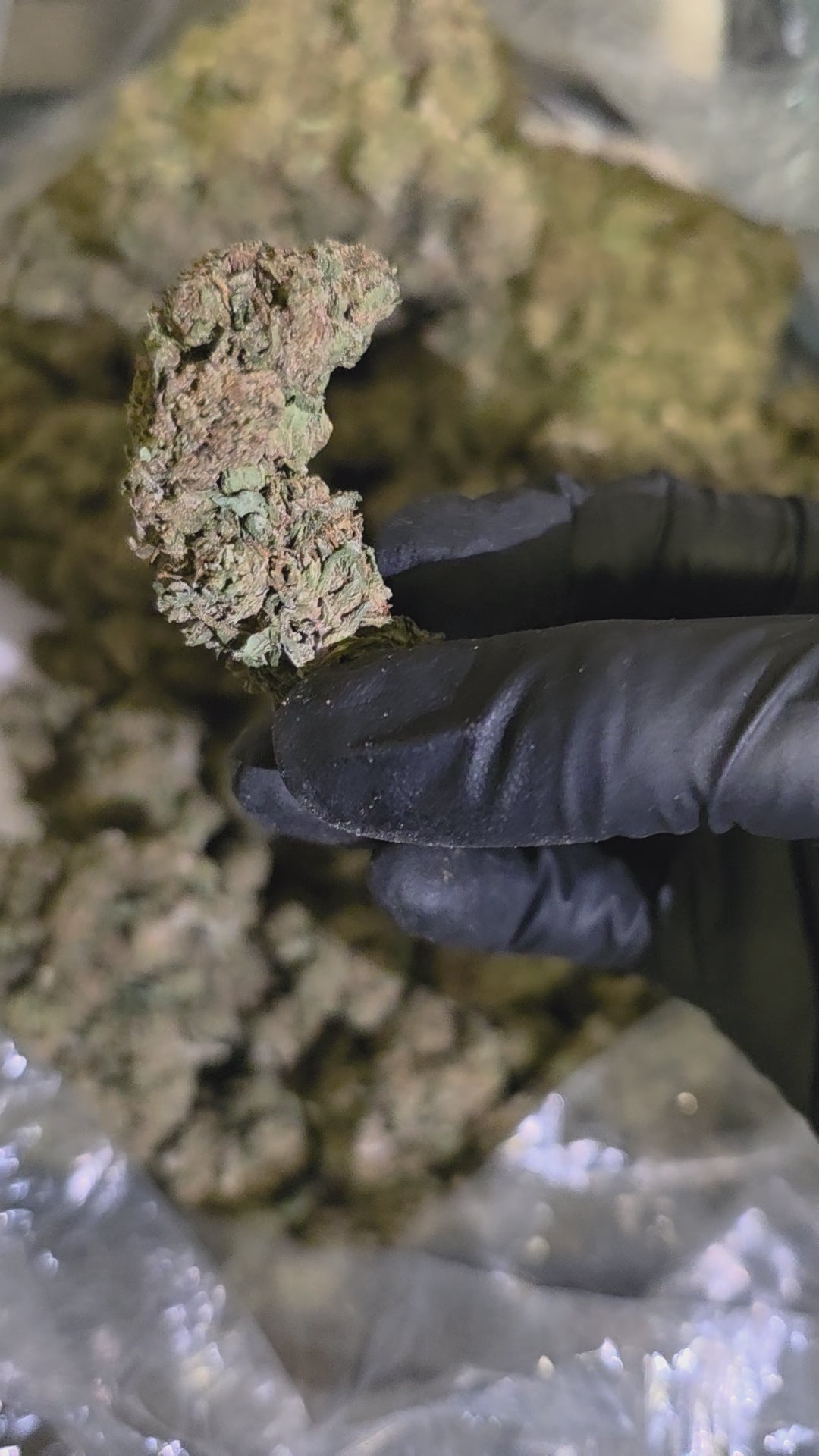 Banana Punch - 32.5% THC