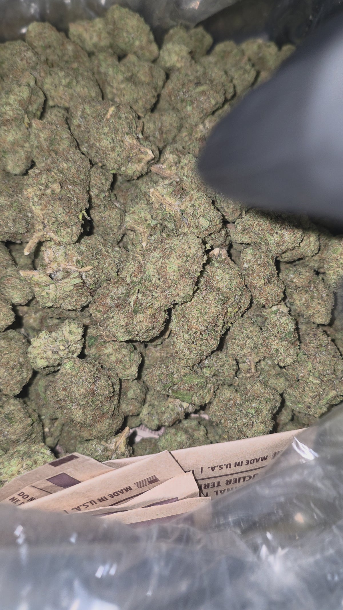 Gov't Oasis 31% THC