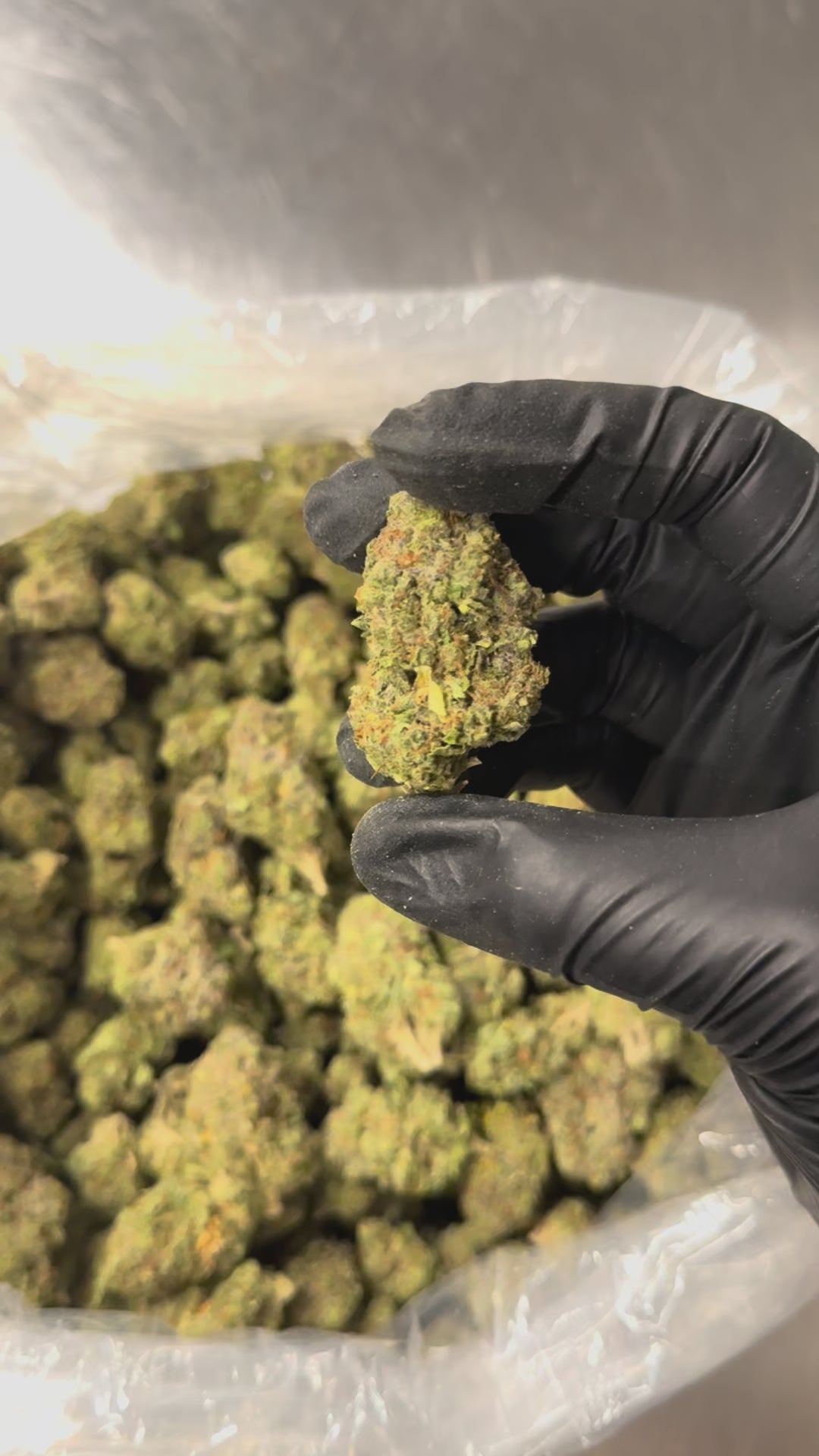 Jet Fuel Og - 25.7% THC