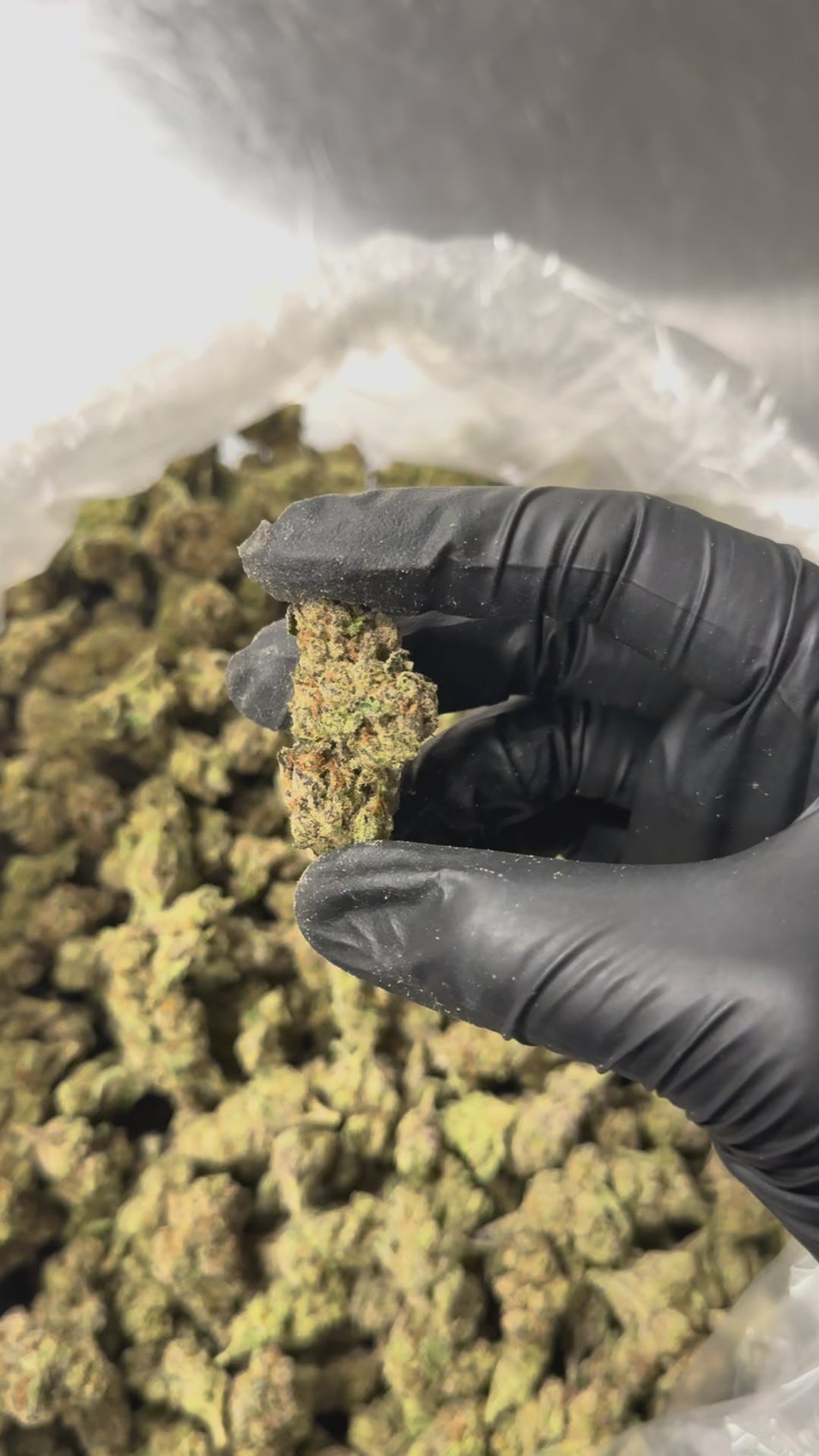Kush Mintz - 29.4% THC