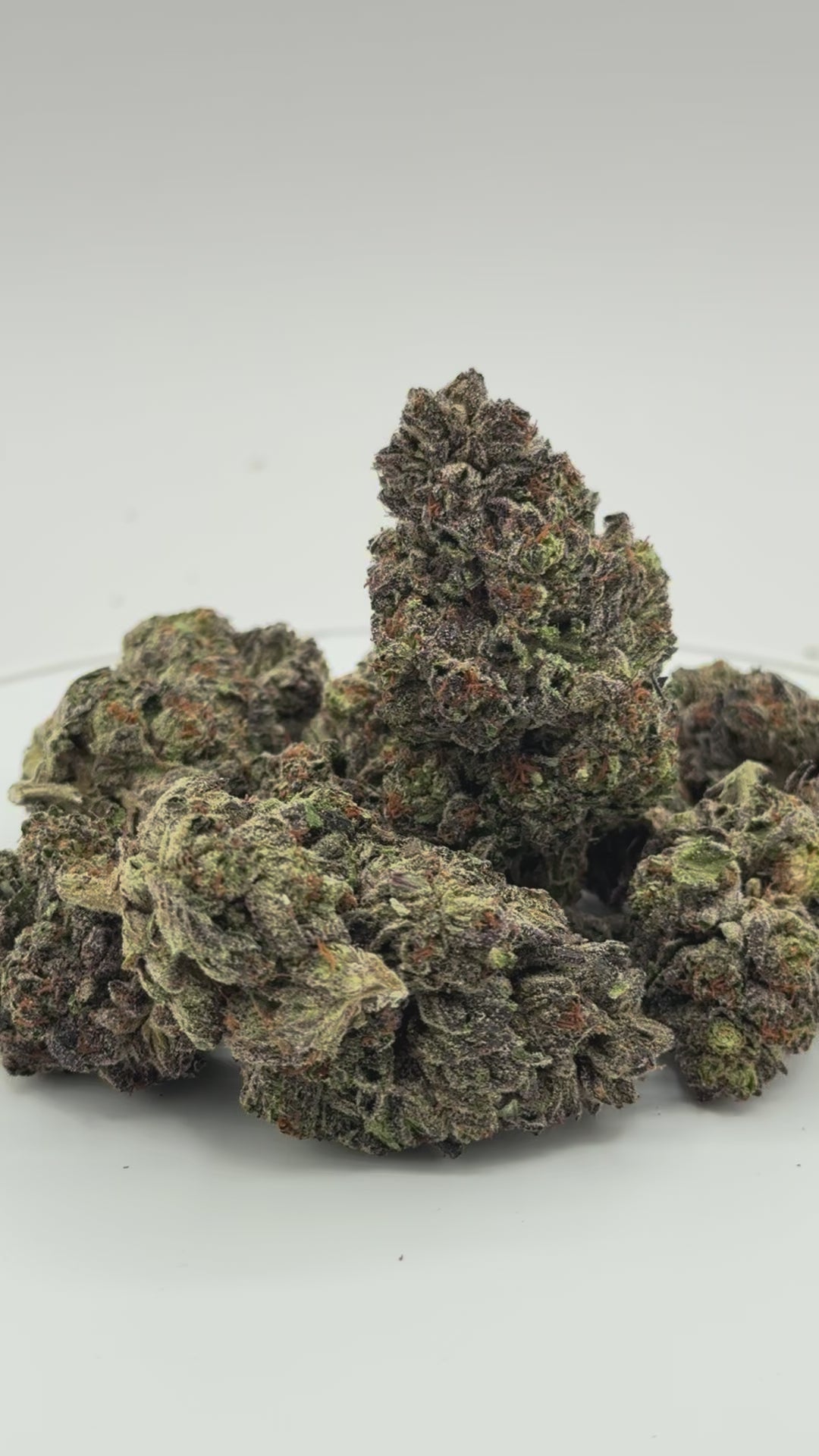 Blue Razz Pack 27.5% THC - Available Now!