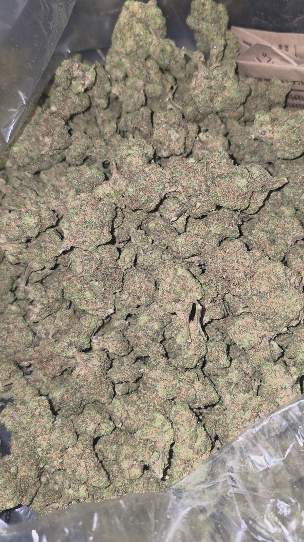 Modified Mints 31.7% THC