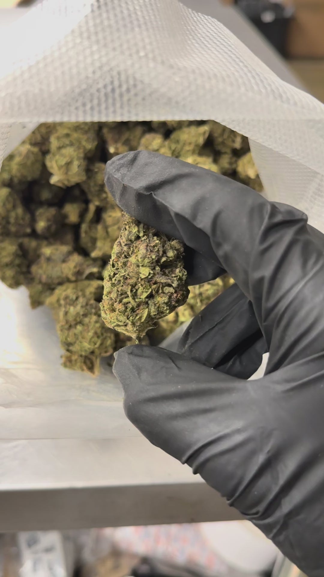 Z Runtz- 31.6% THC