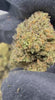 Biscotti Cannabis Strain