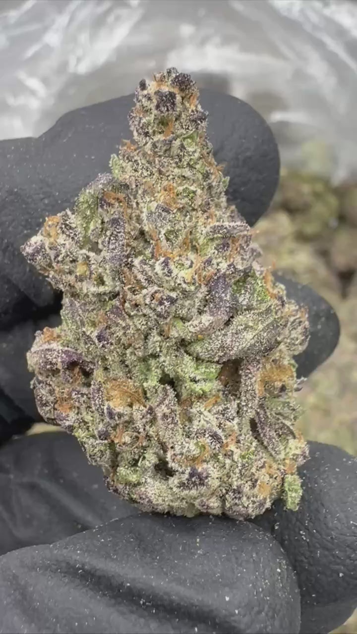 Exotic Gushers Strain