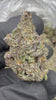 Exotic Gushers Strain