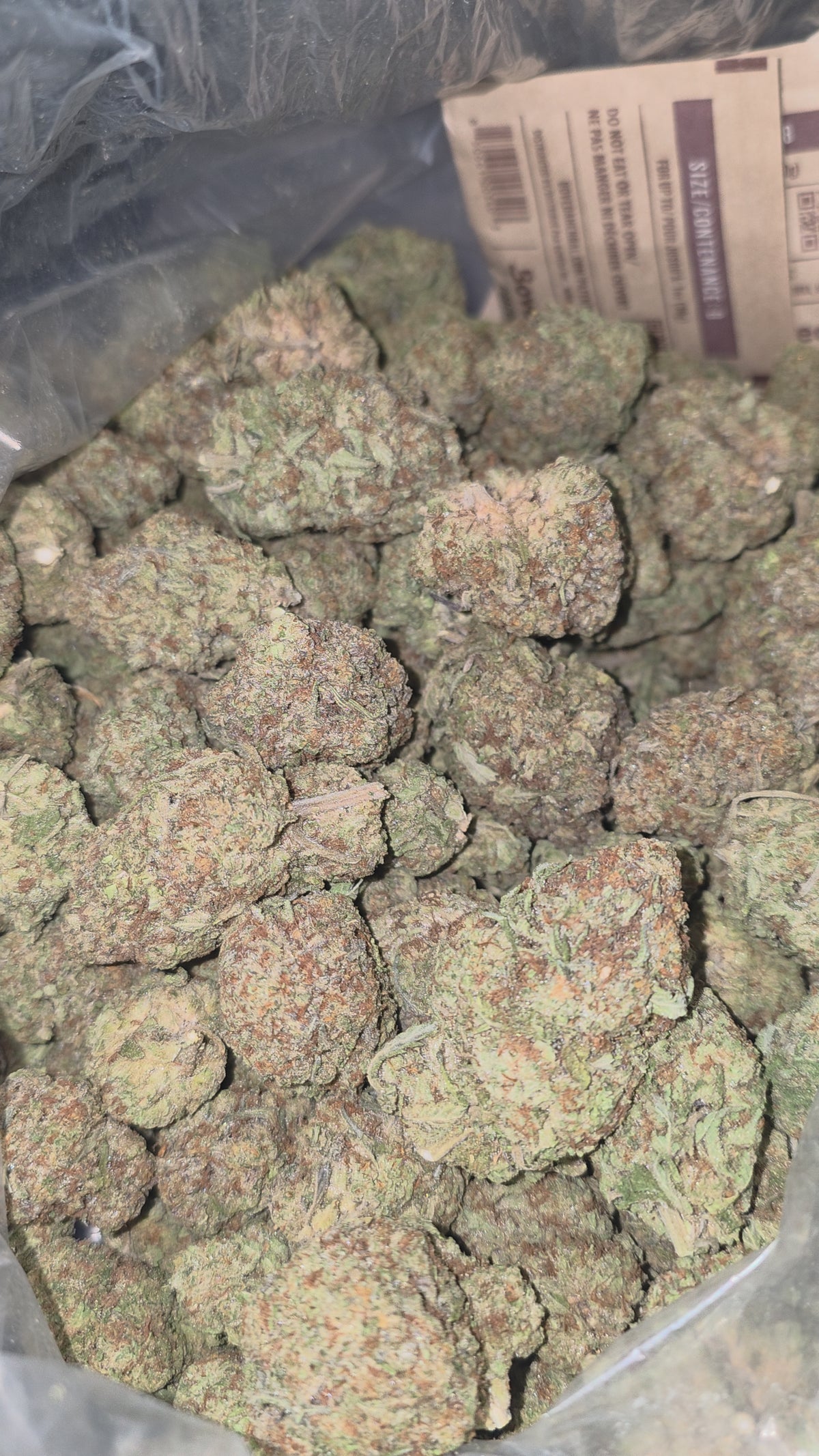 Black Truffle 32.8% THC