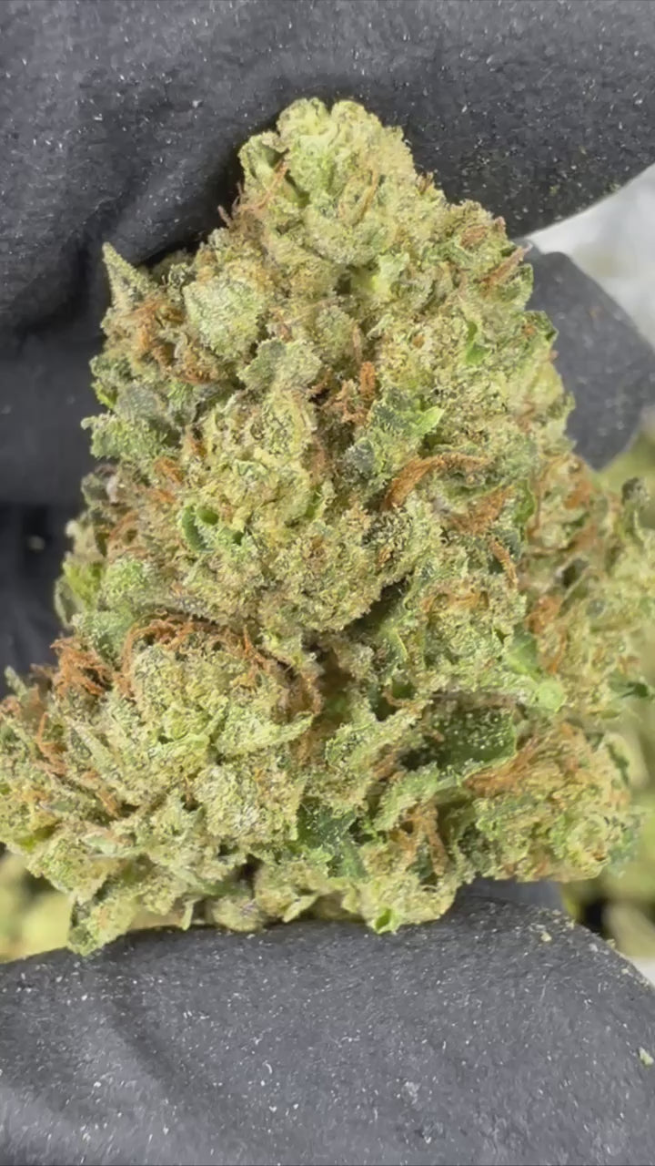 Lemon Cherry Gelato Cannabis
