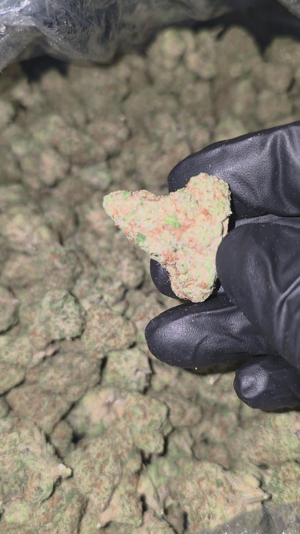 Animal Mintz 30.5% THC