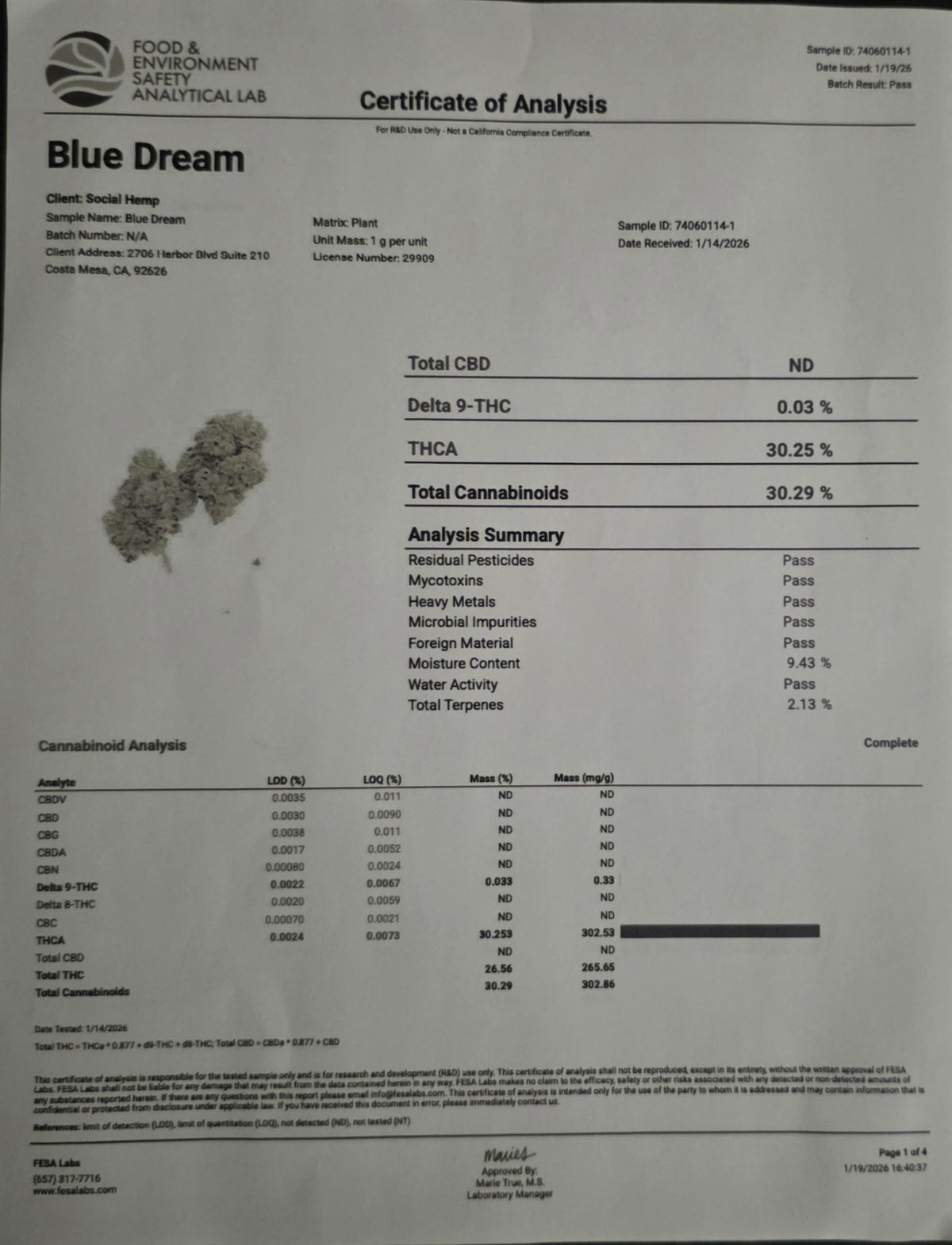 Blue Dream 30.2% THC
