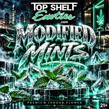 Modified Mints 31.7% THC